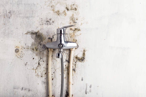 Best Post-Flood Mold Remediation in Shil, OH